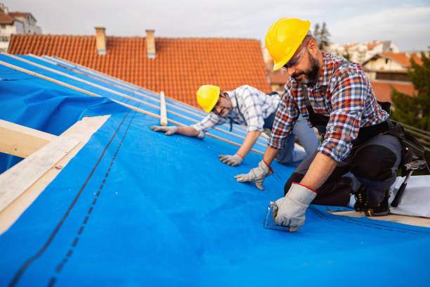 Best Roof Gutter Cleaning  in Colbert, OK